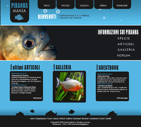 Realizzazione sito web